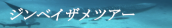 セブ島ジンベイザメツアー